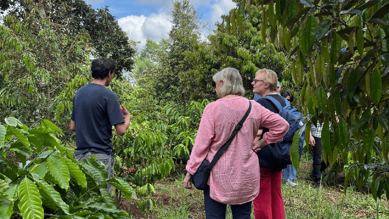 Tour Vườn Cà Phê Đắk Lắk – Hương Vị Tây Nguyên (2)